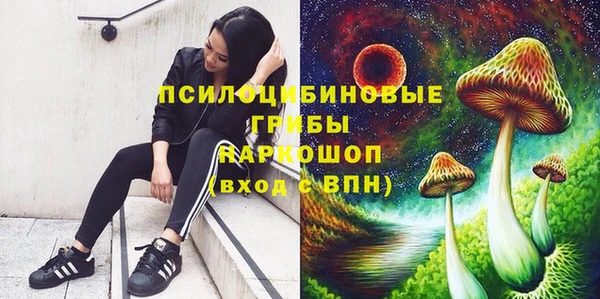 мескалин Богородицк