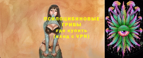 мескалин Богородицк